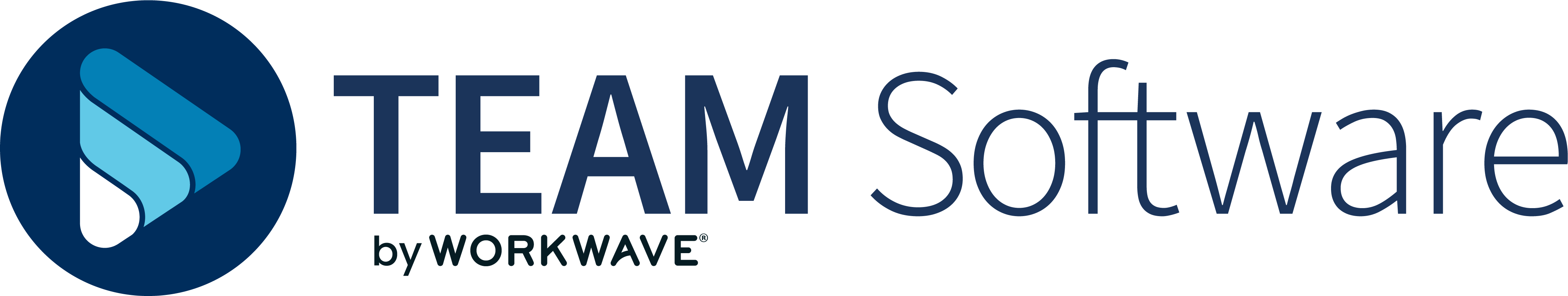 TEAM Software